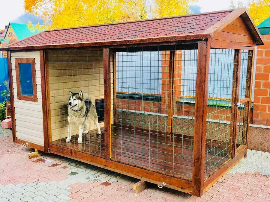 Вольер собственноручно - описание постройки простых, просторных и удобных вольеров для собак (100+ фото